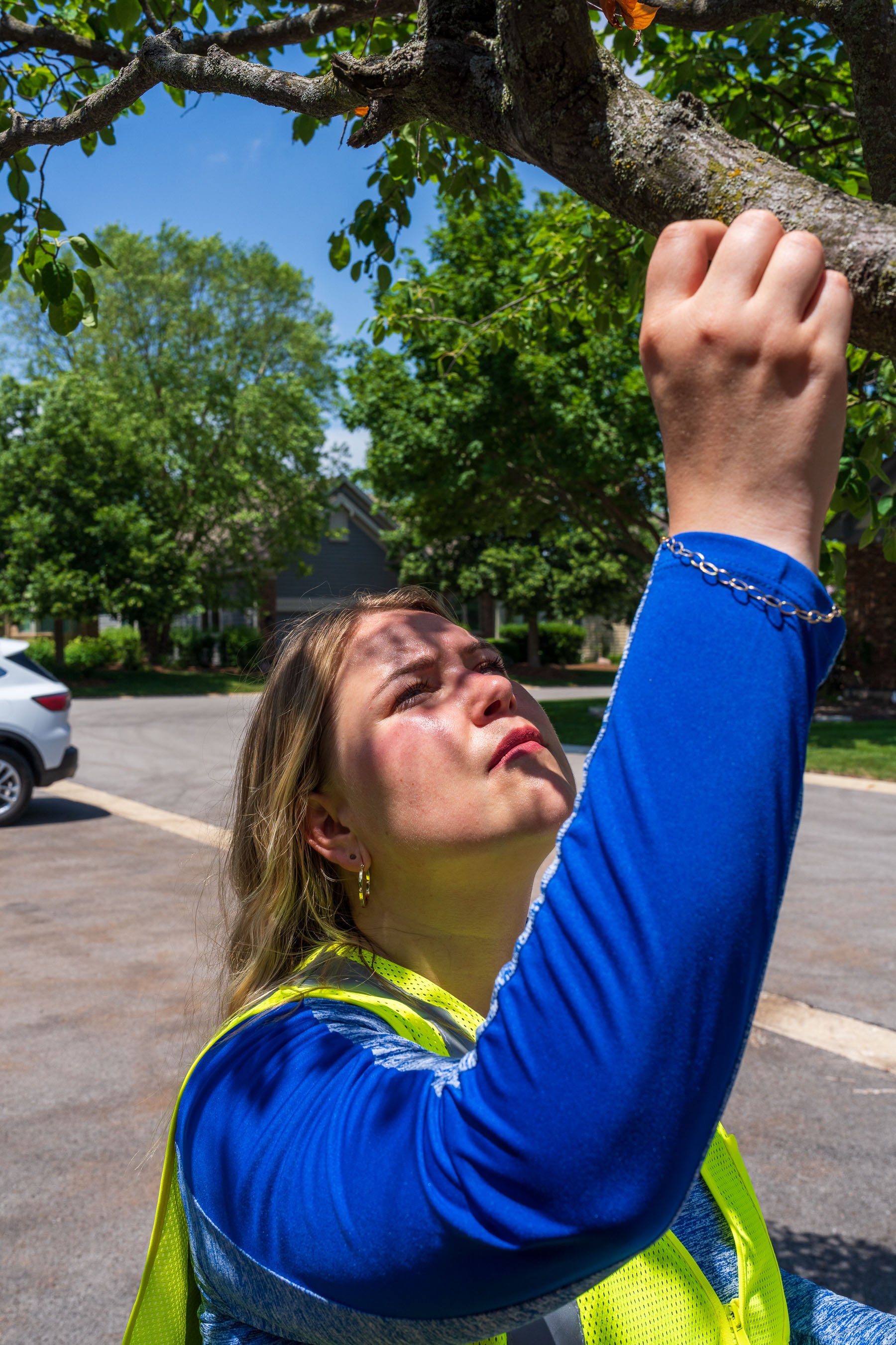 account manager inspecting dead branch tree