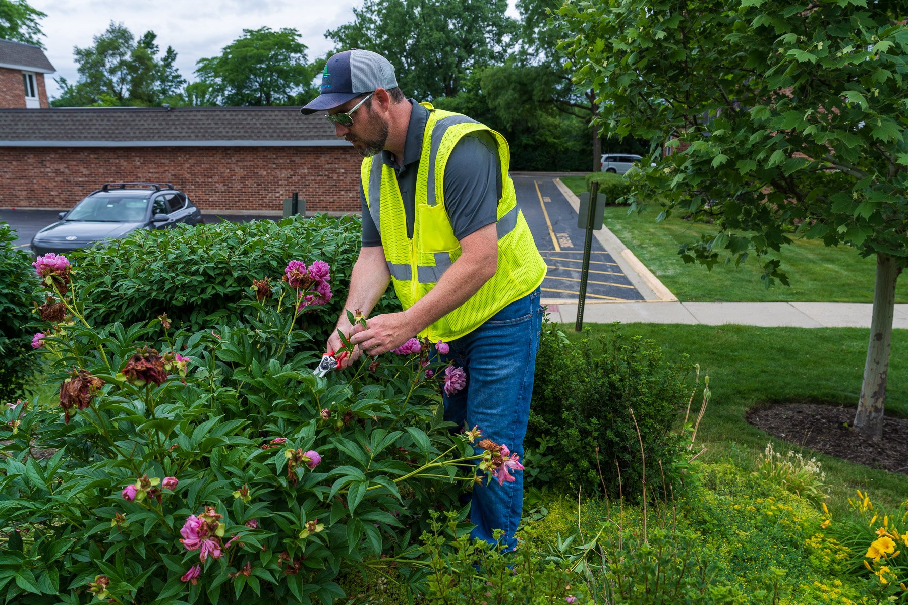 crew pruning cutting back flower shrubs