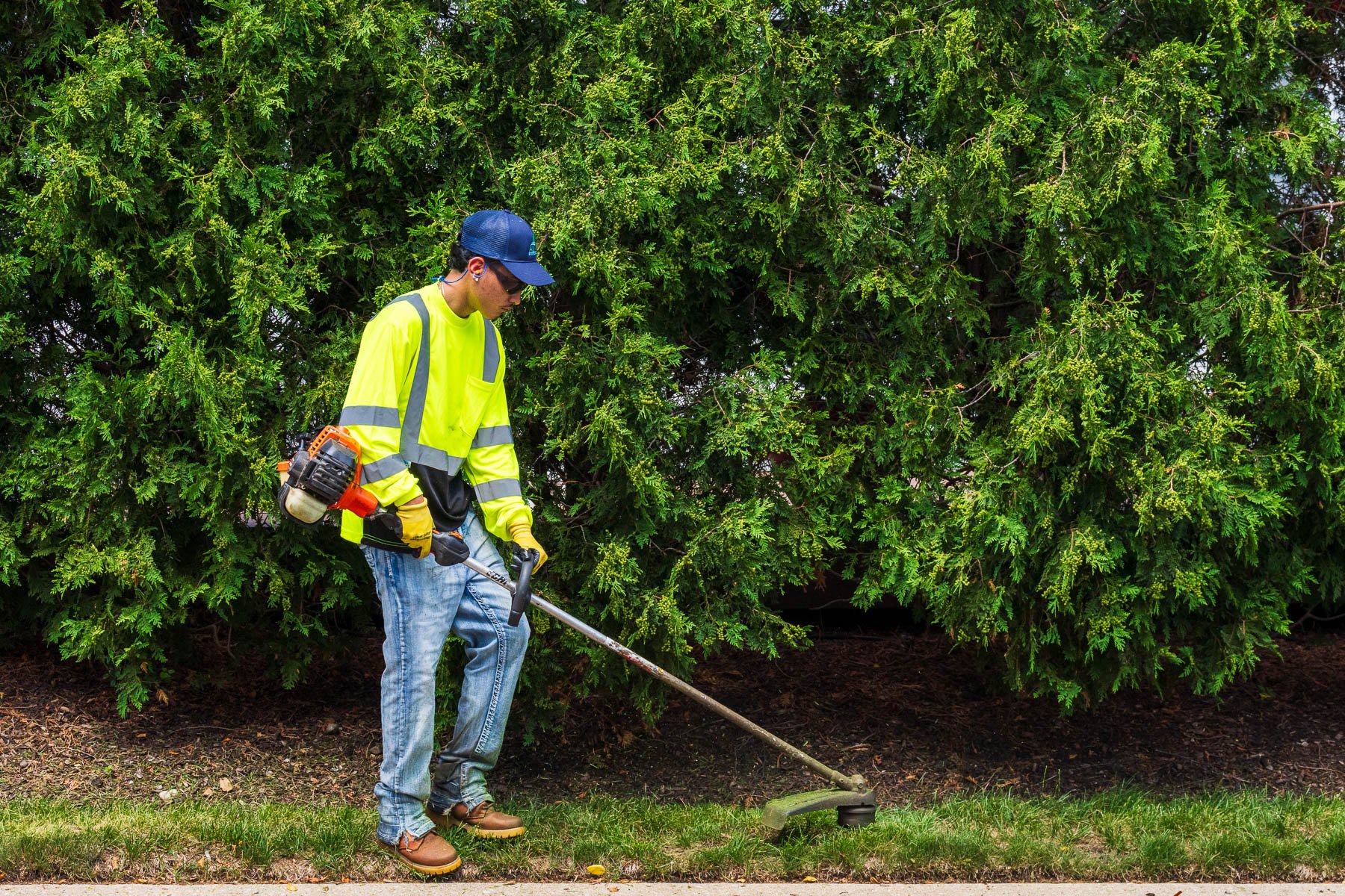 crew weed wacking along landscape beds