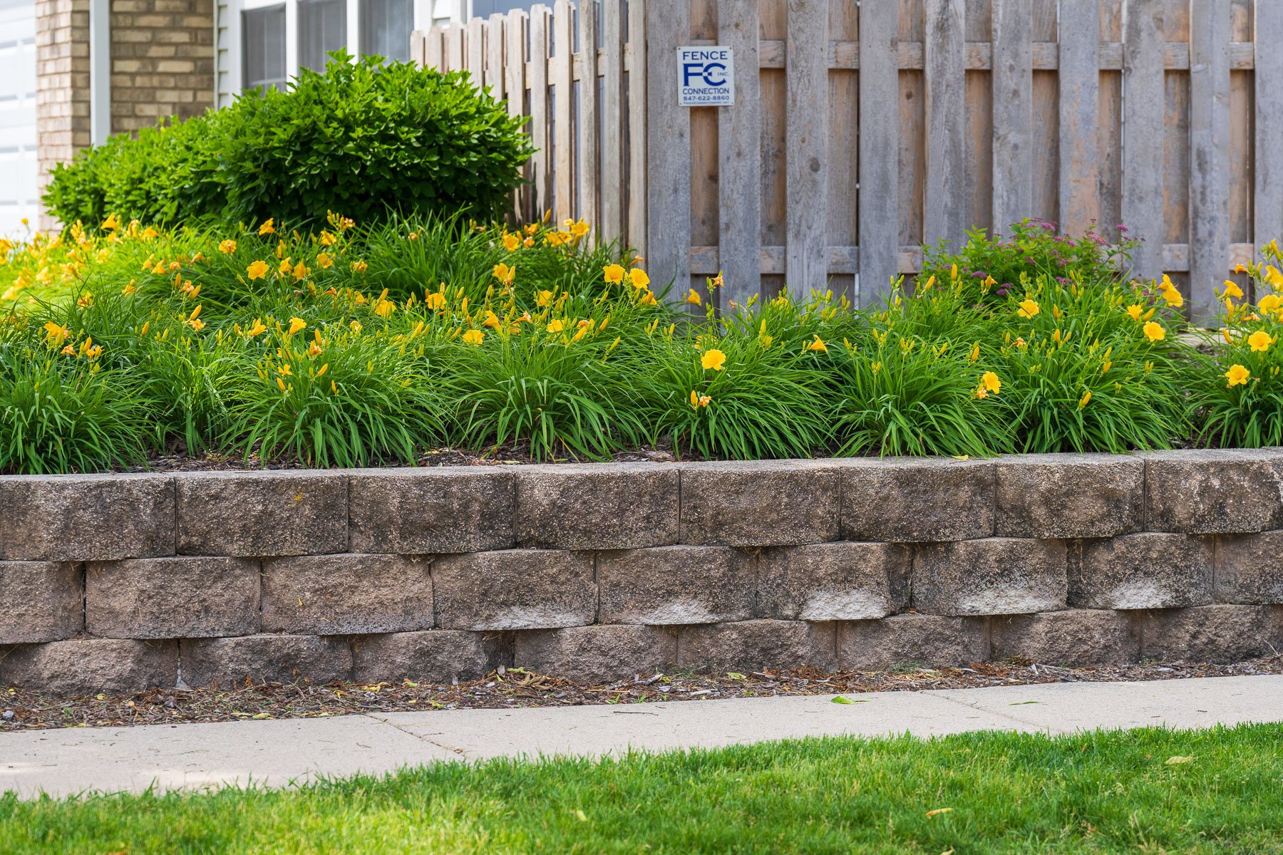 landscape beds day lillies along sidewalk retaining wall