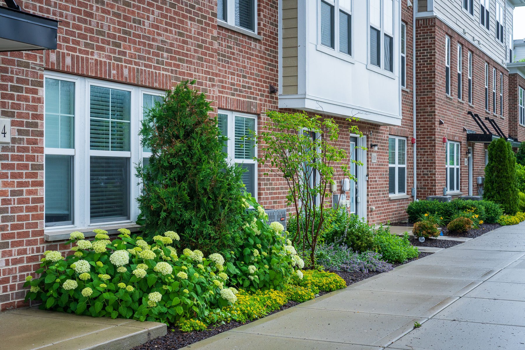 landscape maintenance beds along sidewalk