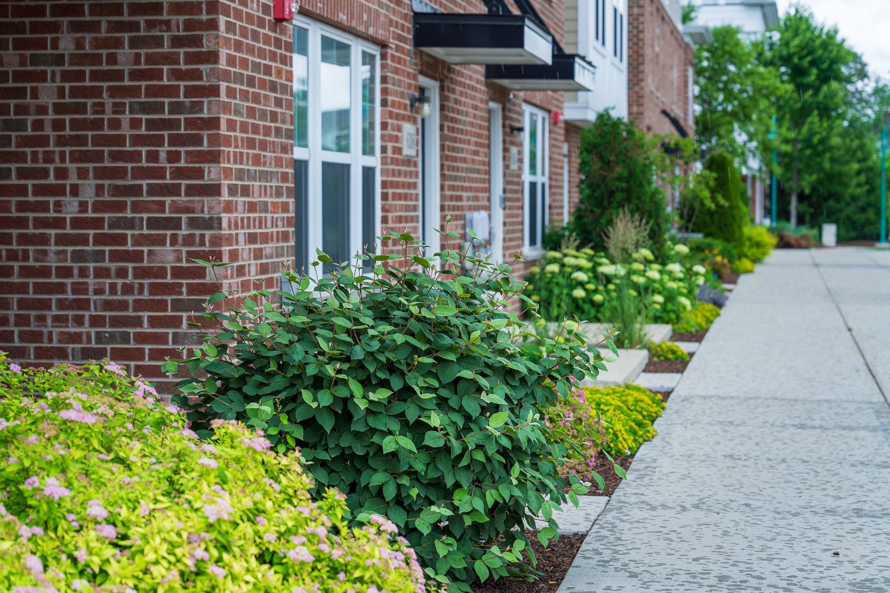 landscape maintenance beds along walkway