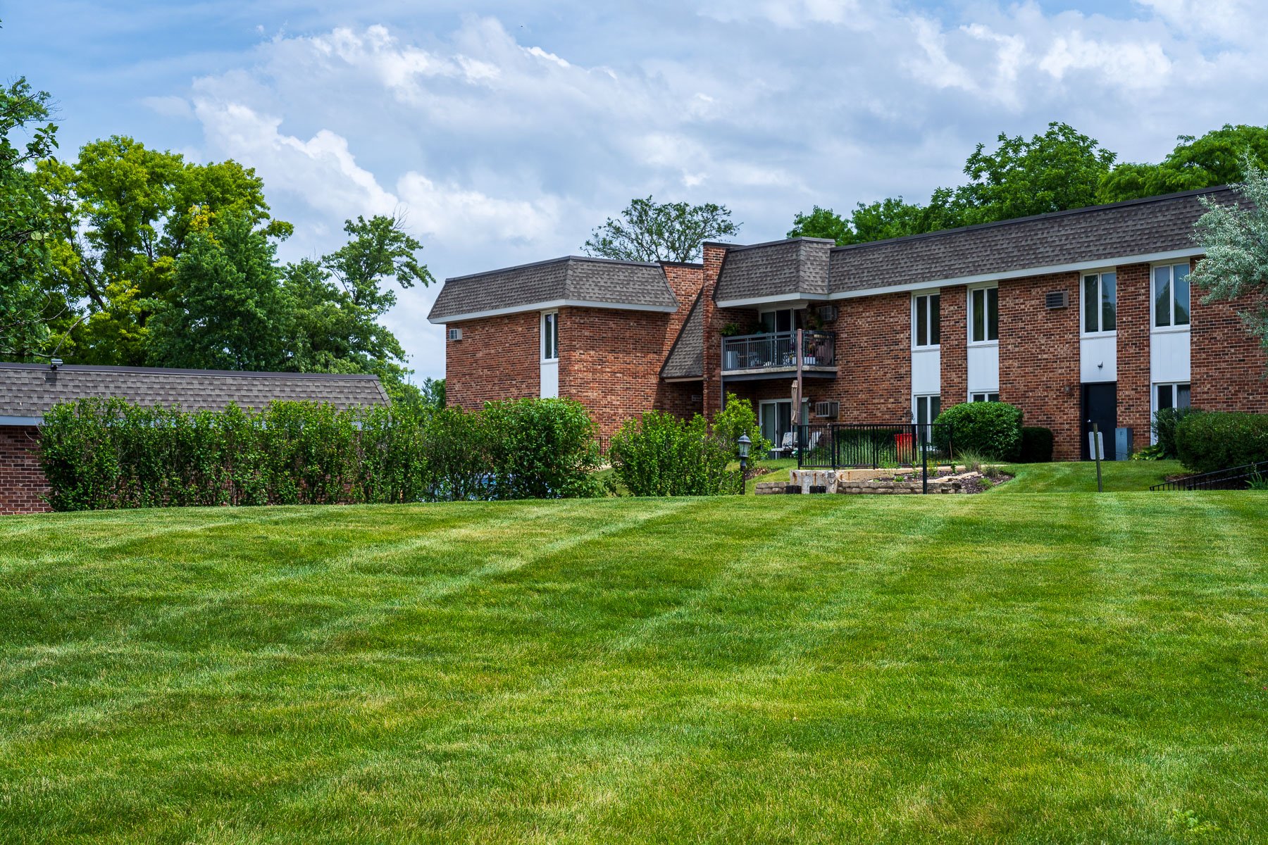 landscape maintenance green lawn