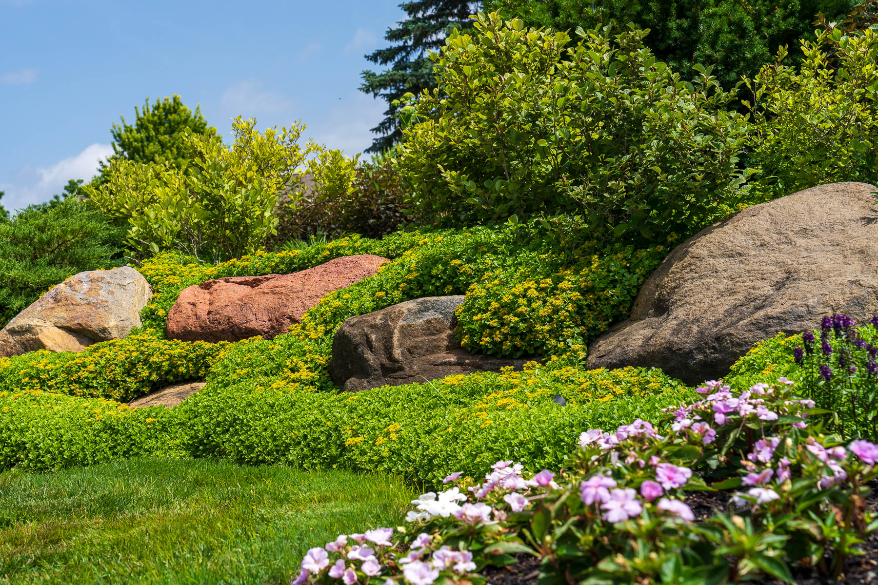Large rocks ground cover landscape beds green lawn