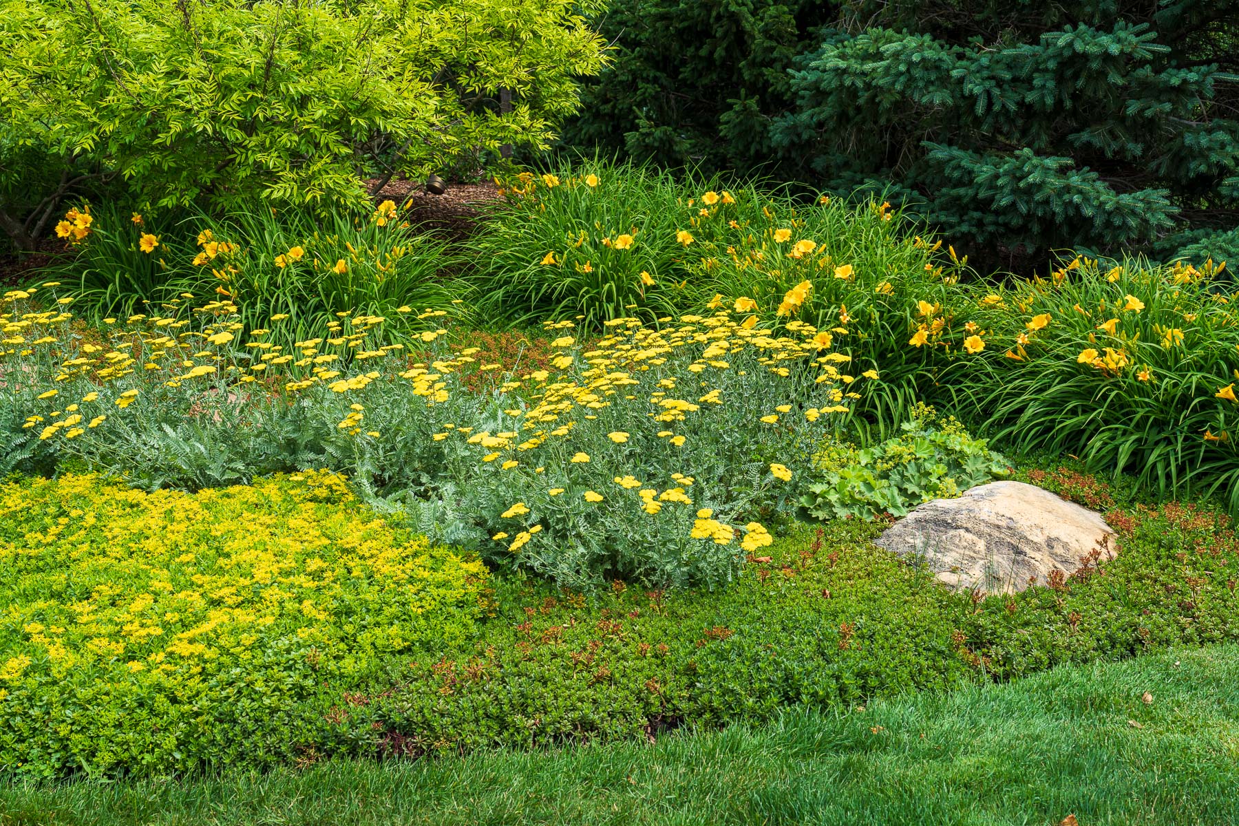 Landscape Enhancements for Commercial Properties: What Are They & When Do You Need Them?