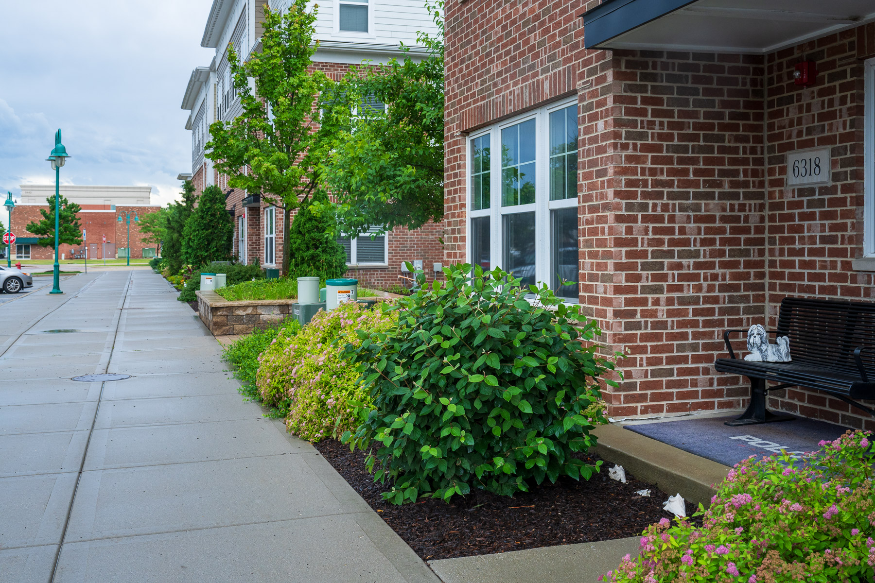landscape maintenance beds along sidewalk 2